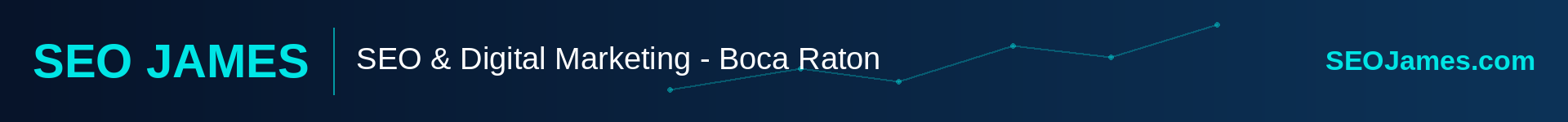SEO James - SEO & Digital Marketing in Boca Raton